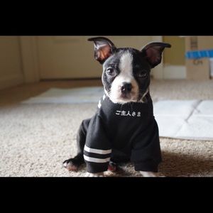 Meet your Posher, Ying